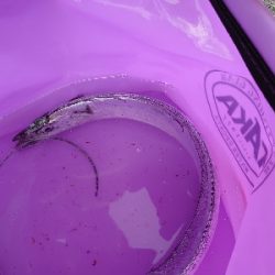 釣りがしやすい気温です