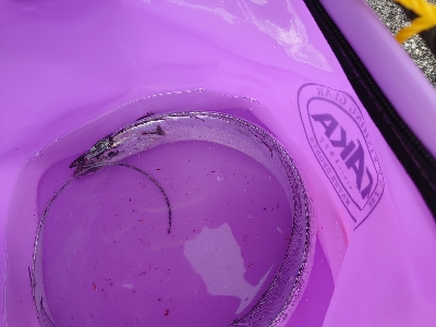 釣りがしやすい気温です