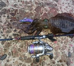 今シーズン一杯目