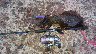 今シーズン一杯目