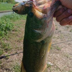 流入でビッグベイトで1本