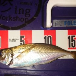 よっしゃーめっちゃ引く