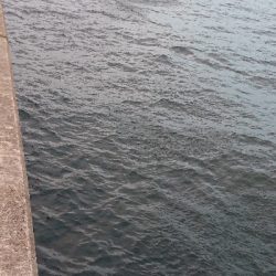 なぶらやばｯｯ