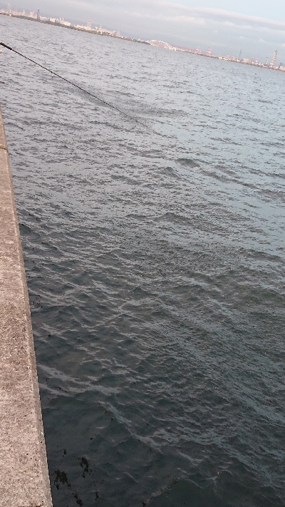 なぶらやばｯｯ