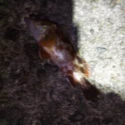 こんなはずでは…