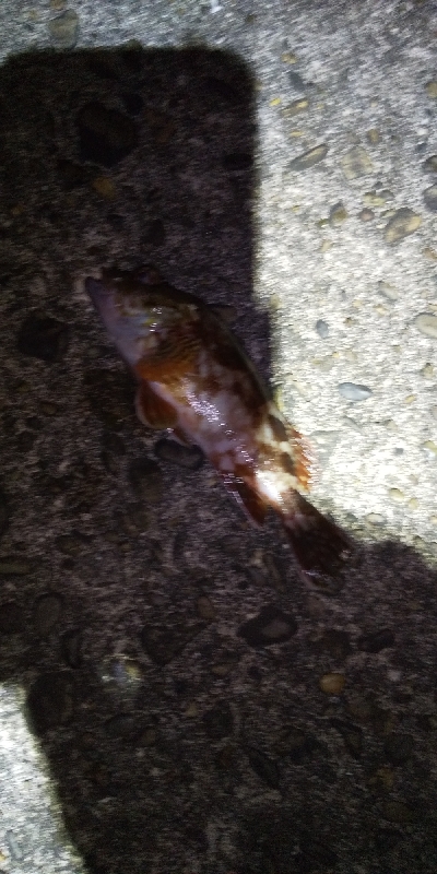 こんなはずでは…