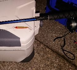 サバでボーズ逃れ~