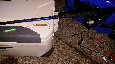 サバでボーズ逃れ～