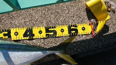 連休最終日にやっと貧果脱出