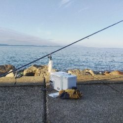 苅屋海岸のキス釣り