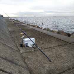 苅屋海岸のキス釣り