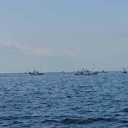 魚は沖か…