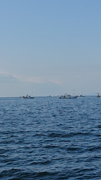 魚は沖か…