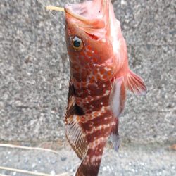 夏はまだ終わらない