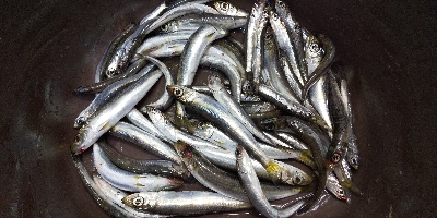 もう少しかな？