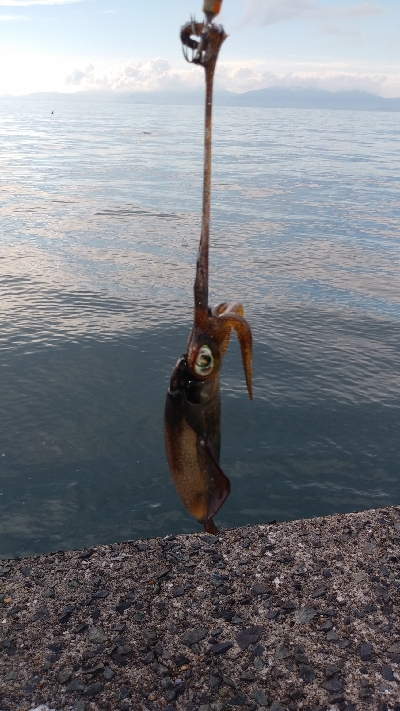 暑いなか何とか…