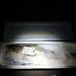 仕事終わりの夜遊び