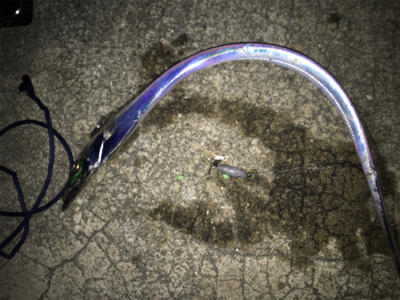 夕マヅメにまさかの…