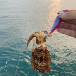 秋始まりますね