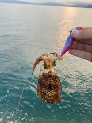 秋始まりますね