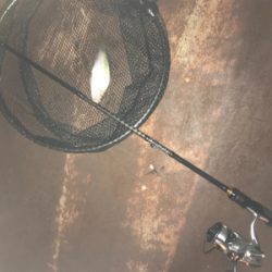 大崎上島ライトゲーム①