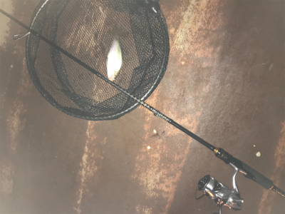 大崎上島ライトゲーム①