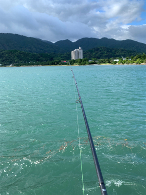 台風だからキス釣りを
