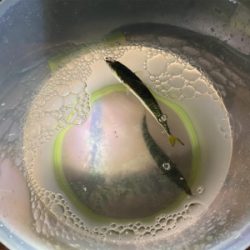 アジングしましたがサバだけ