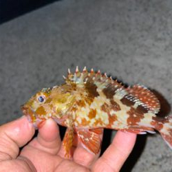 忙しい合間をぬって、、、