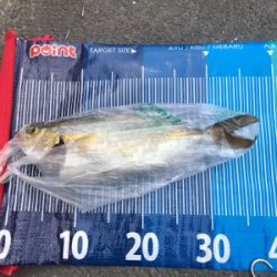 ネリゴが釣れたぞーヽ(^0^)ノ