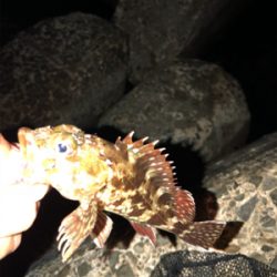 久々ライトゲーム