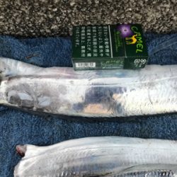 １本だけ、指３本