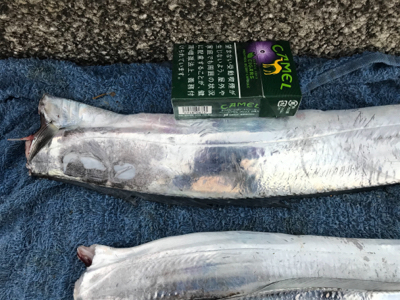 １本だけ、指３本