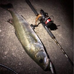 大阪湾悪パトロール