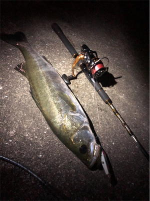 大阪湾悪パトロール