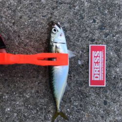 ストレス発散！