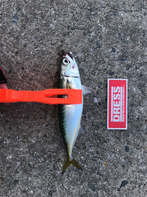 ストレス発散！