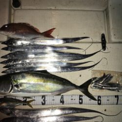 タチウオジギング