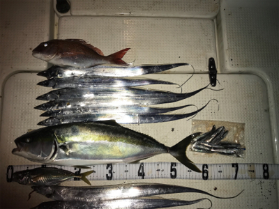 タチウオジギング