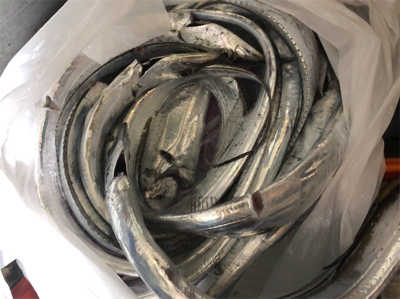 タチウオ釣れてます