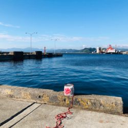 親父たちの釣行‼️太刀魚を求めて‼️