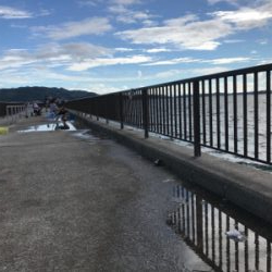 やっばりキス釣り