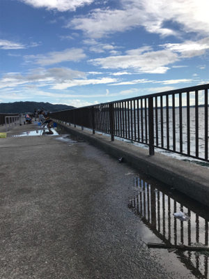 やっばりキス釣り