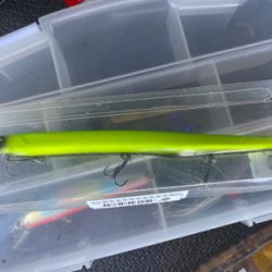 クルクルイワシ