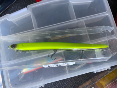 クルクルイワシ