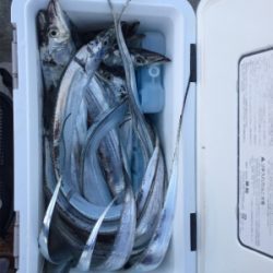 誘えばアタリ多数