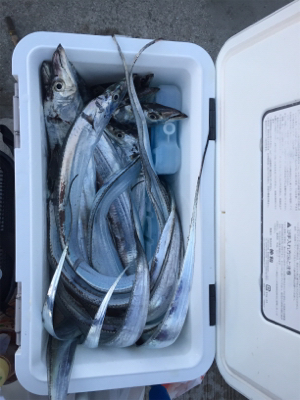 誘えばアタリ多数