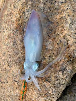 台風前に、、、