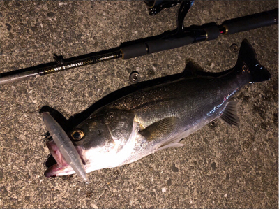 大阪湾奥パトロール