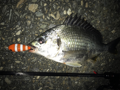 ソルトクランク